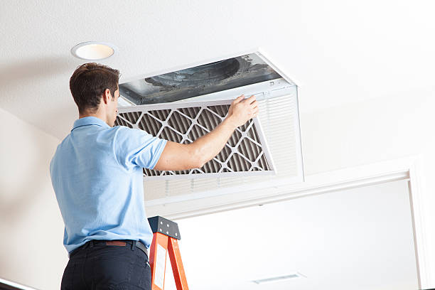 Best HVAC cleaning services  in Schuylkill Haven, PA
